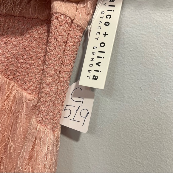 Alice & Olivia By Stacey Bendet Light Pink Floral Lace Maxi Gown Size 0 Reemoly - Picture 7 of 13